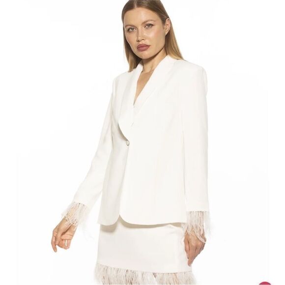 NWT Alexia Admor Flora Ostrich Feather Mini Skirt size 6 - Picture 2 of 9